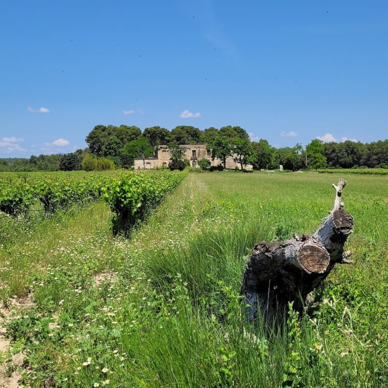 BAN Sud Lointain